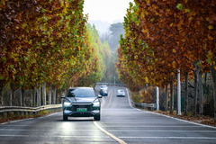 初冬京郊：斑斓画卷徐徐展开（3）