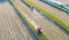 秋日“丰”景好（13）#