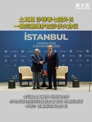 土耳其、沙特等七国外长一致同意维护加沙停火协议