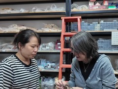 “景德镇就是一个宝盒”：德国艺术家在景德镇寻找新灵感