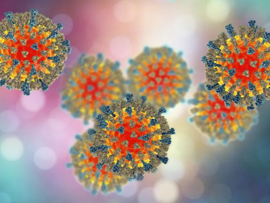 刚果（金）东开赛省暴发麻疹疫情