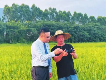 从万千农户到幸福餐桌  农行深圳分行以多元服务助力深圳“菜篮子”稳产保供