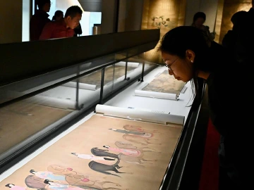 美丽深圳·每日一图｜2025年11月28日