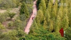 千城百县看中国｜广东虎门：倏忽秋又尽 冬来幽兴长