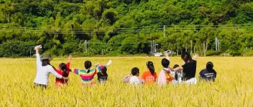 不调休、不补课、无作业！广东多所中小学迎来秋假！深圳也有......