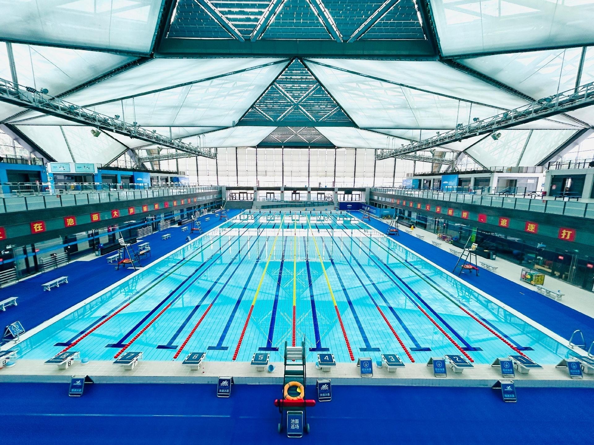 十五运会游泳赛事10日龙岗启幕 名将新秀演绎速度与传承