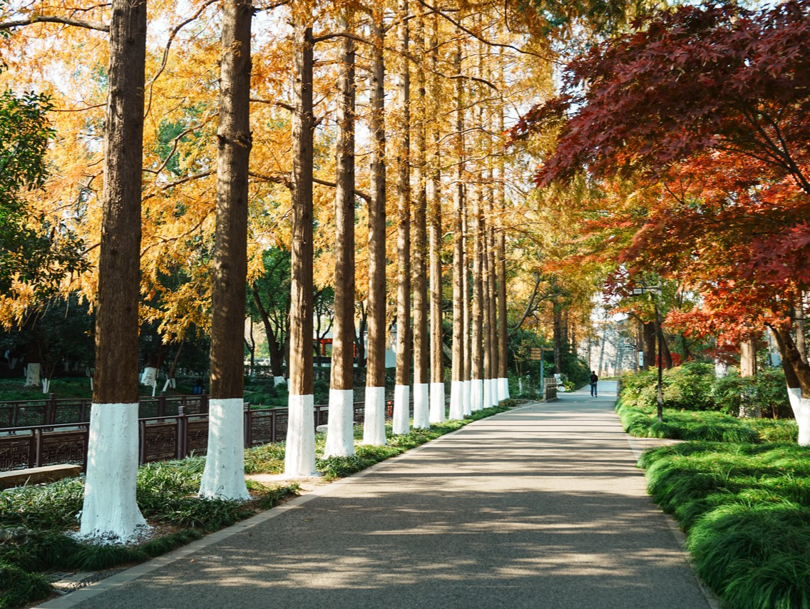 （暂不发）温度记｜“阴凉+小雨”套餐今日送达！深圳气温跌破20℃，太阳周末返场