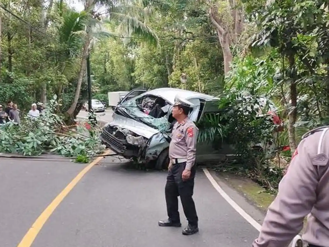 我领馆证实巴厘岛交通事故致中国公民5死8伤