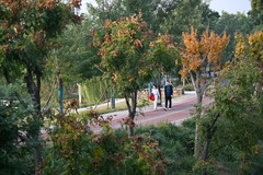 河北沧州：大运河堤顶路铺就美好生活新图景（5）