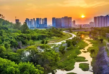 湖山与人心共谱的生态童话 | 人文天地·南海潮