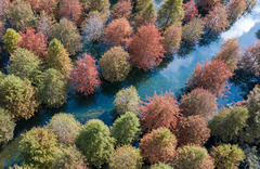 秀我中国｜立冬：寒意随风起，木叶半青黄