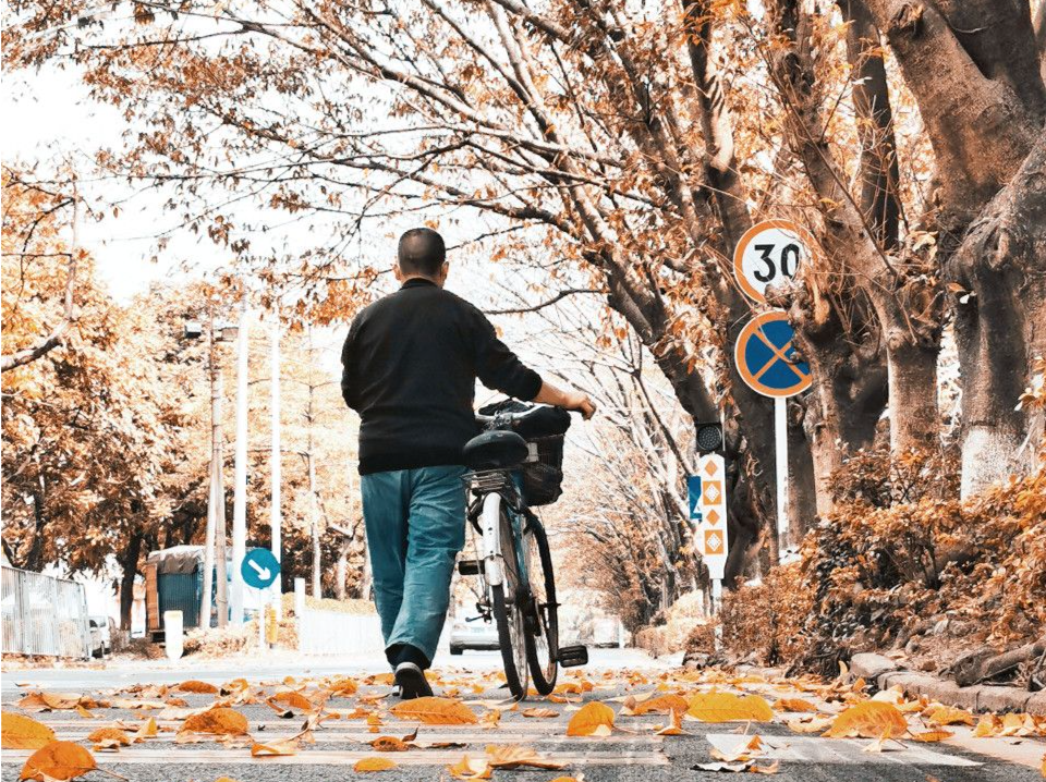 全国入冬进程图来了！南方多地提前入冬