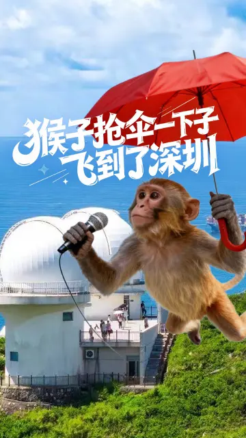 猴子抢伞飞到了深圳