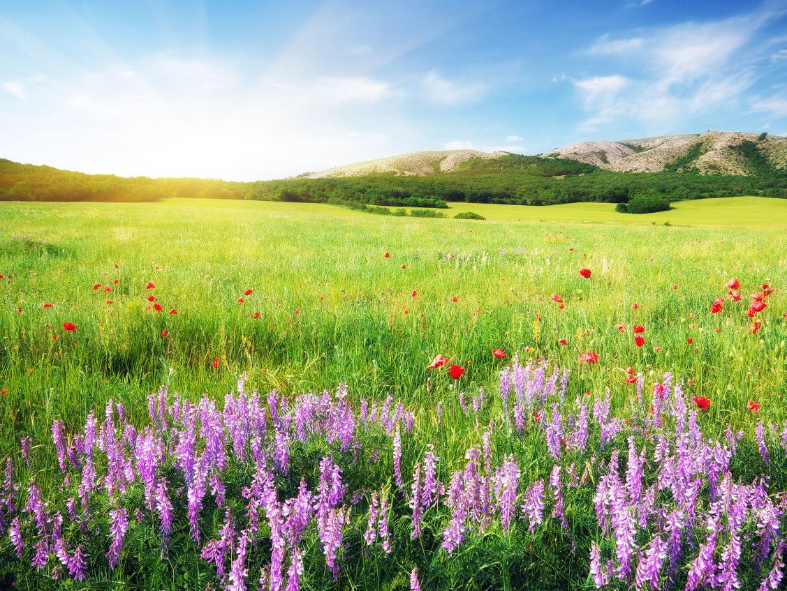 温度记 | 升温+台风！多地已经停课停运，深圳未来天气→