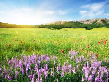 温度记 | 升温+台风!多地已经停课停运,深圳未来天气→