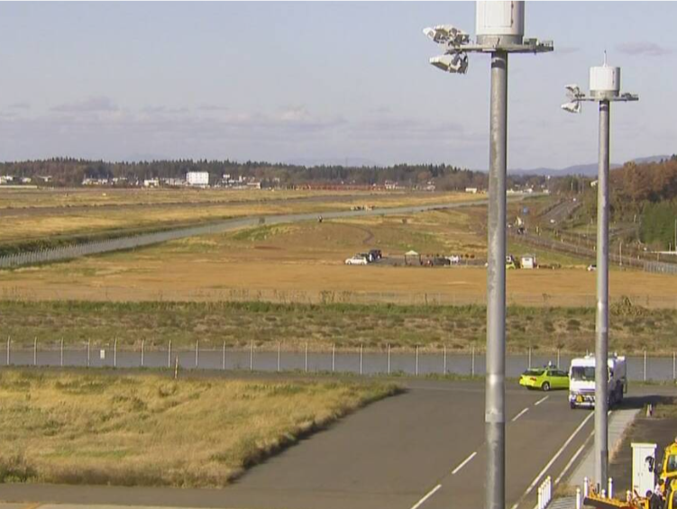 日本一机场有野熊出没，航班暂停起降