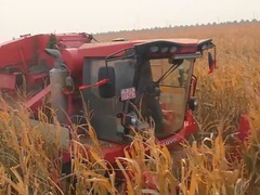 秀我中国｜齐齐哈尔梅里斯达斡尔族区：昼夜抢收保归仓 科技赋能促丰产