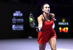 （体育）（12）网球——WTA年终总决赛：莱巴金娜夺冠