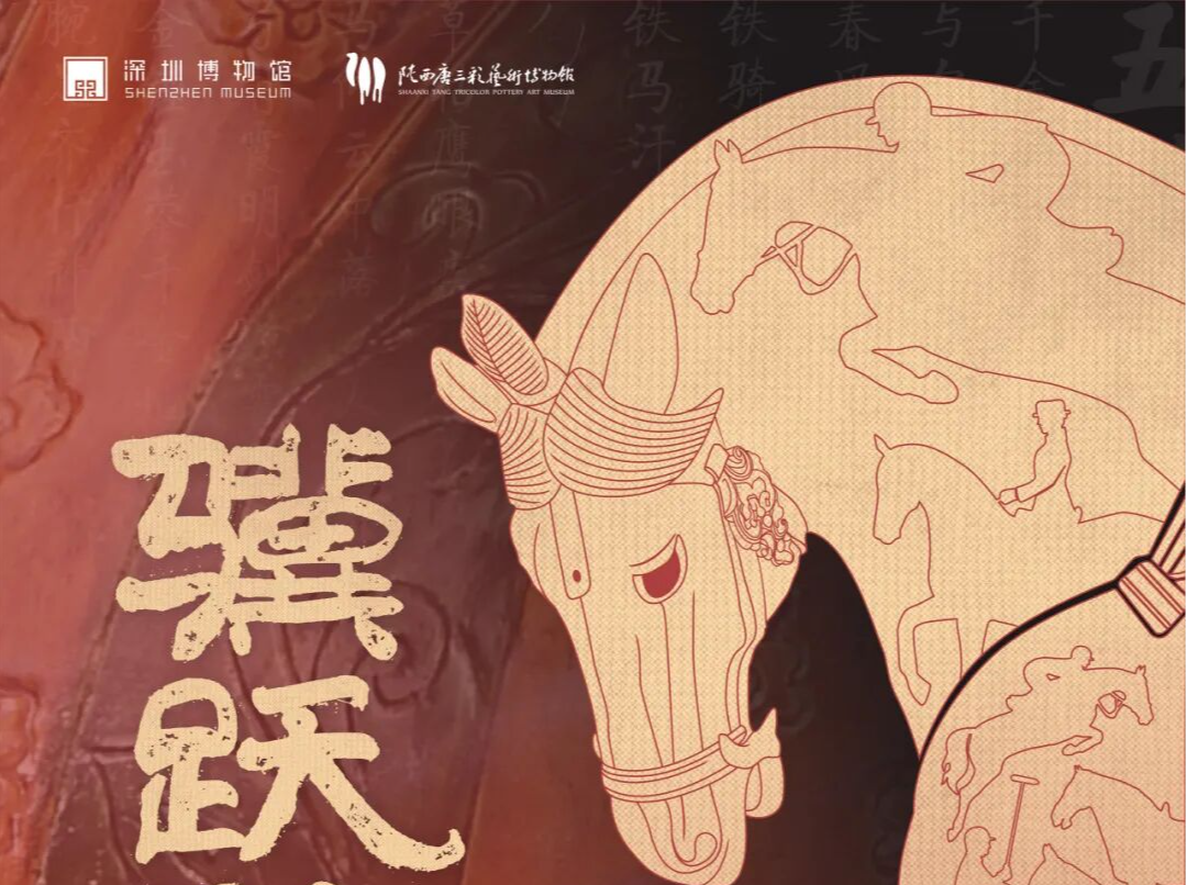 展览正当时 | “香港博物馆节2025”深圳分会场，系列精彩活动和展览等你来！ 