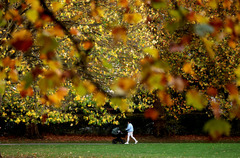 一周看天下丨英伦秋日
