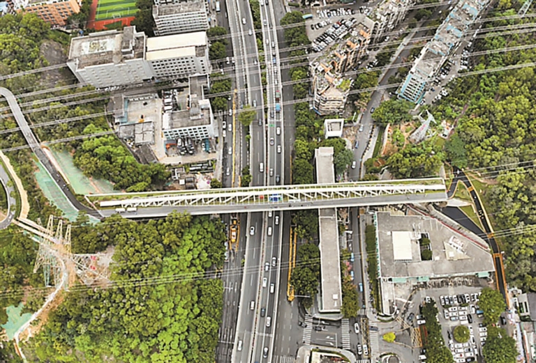 鲲鹏径双桥贯通，罗湖架起生态“空中绿廊”