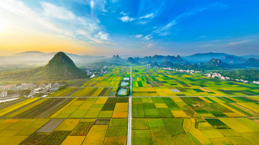 以全面深化改革激发新动能——广东实施“百千万工程”破解区域协调的发展难题纪实(中)