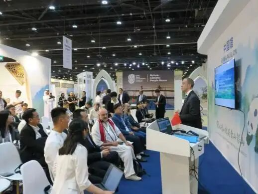 红树林保护碳汇转化生态价值 深圳案例亮相世界自然保护大会