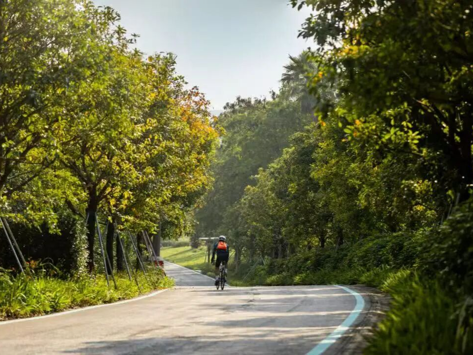 演员周德华来光明了！他打卡了......
