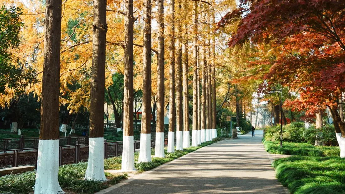 温度记 | 告别干燥！深圳今起云量增多有小雨，新冷空气在路上→
