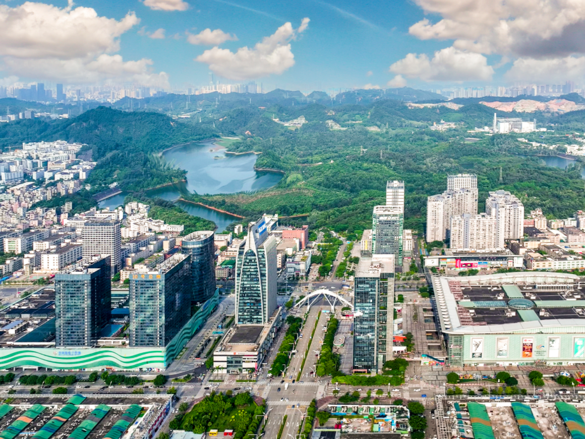 法治为基、创新为刃、情理为桥：解析平湖街道破解机荷高速征拆难题的“方法论”