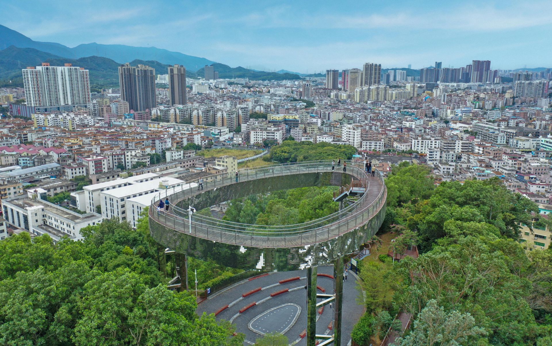 美丽深圳·每日一图｜2025年12月14日