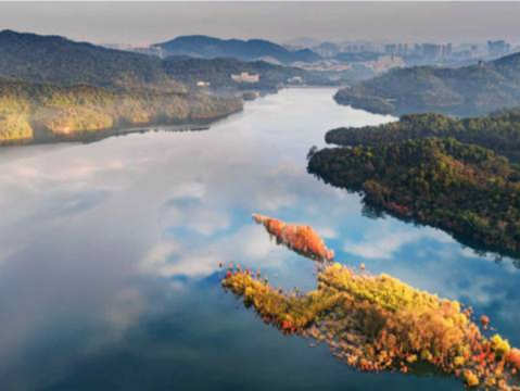 27条措施发布!广东这样促进农文旅融合高质量发展