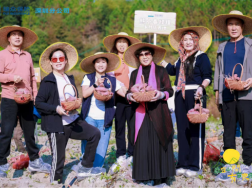 瑞众保险深圳分公司开展第二届丰收节活动
