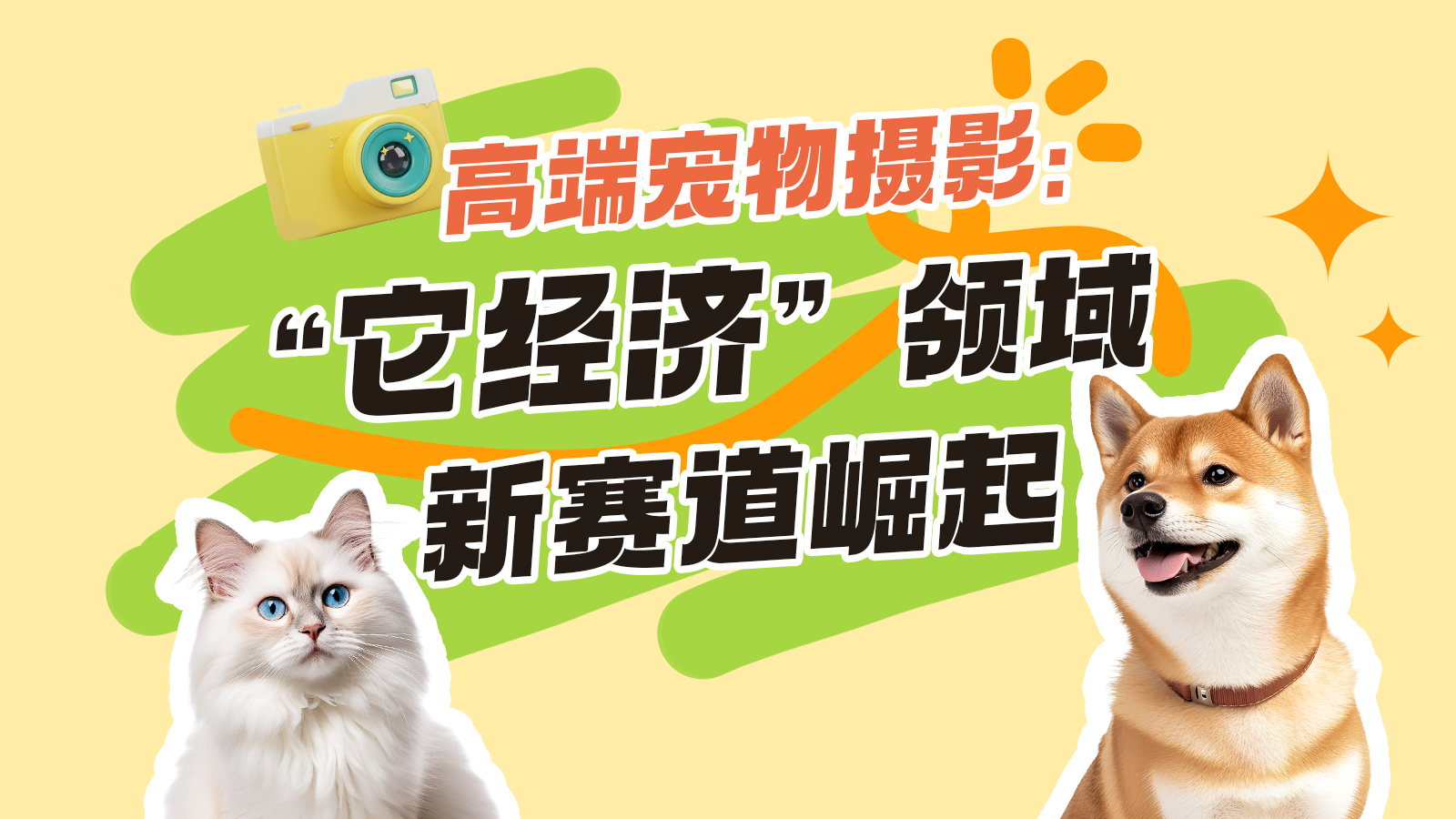 宠域talk | 2999元一套宠物写真，为何能让养宠人排队预约？