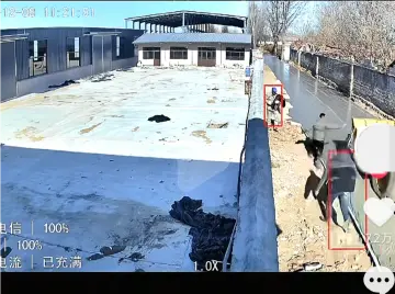 山东一村民自费修路却被村书记破坏?当地回应:村民占用永久基本农田 | 有料