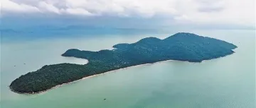 这片“孤岛”上，藏着深圳版「疯狂动物城」