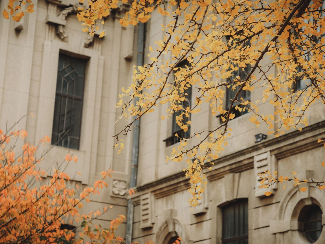 温度记 | 深圳今起转多云！最低12℃，下周“至冷时刻”要来了，回温就在……