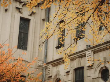 温度记 | 深圳今起转多云!最低12℃,下周“至冷时刻”要来了,回温就在……