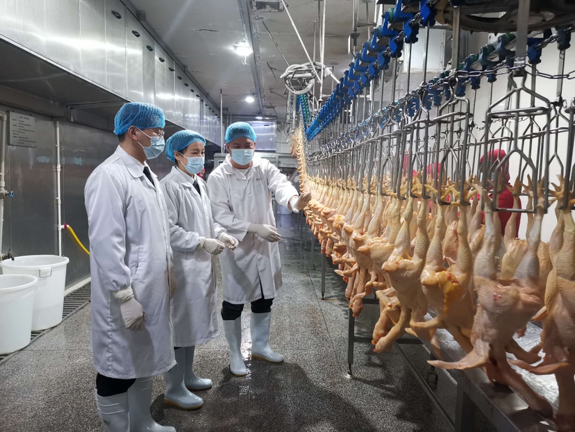 “云签发”为供港农食产品注入通关“加速度”