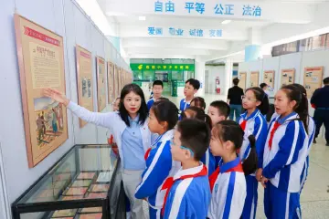 全民终身学习赋能新质生产力，华强北打造红树林式创新创业学习生态