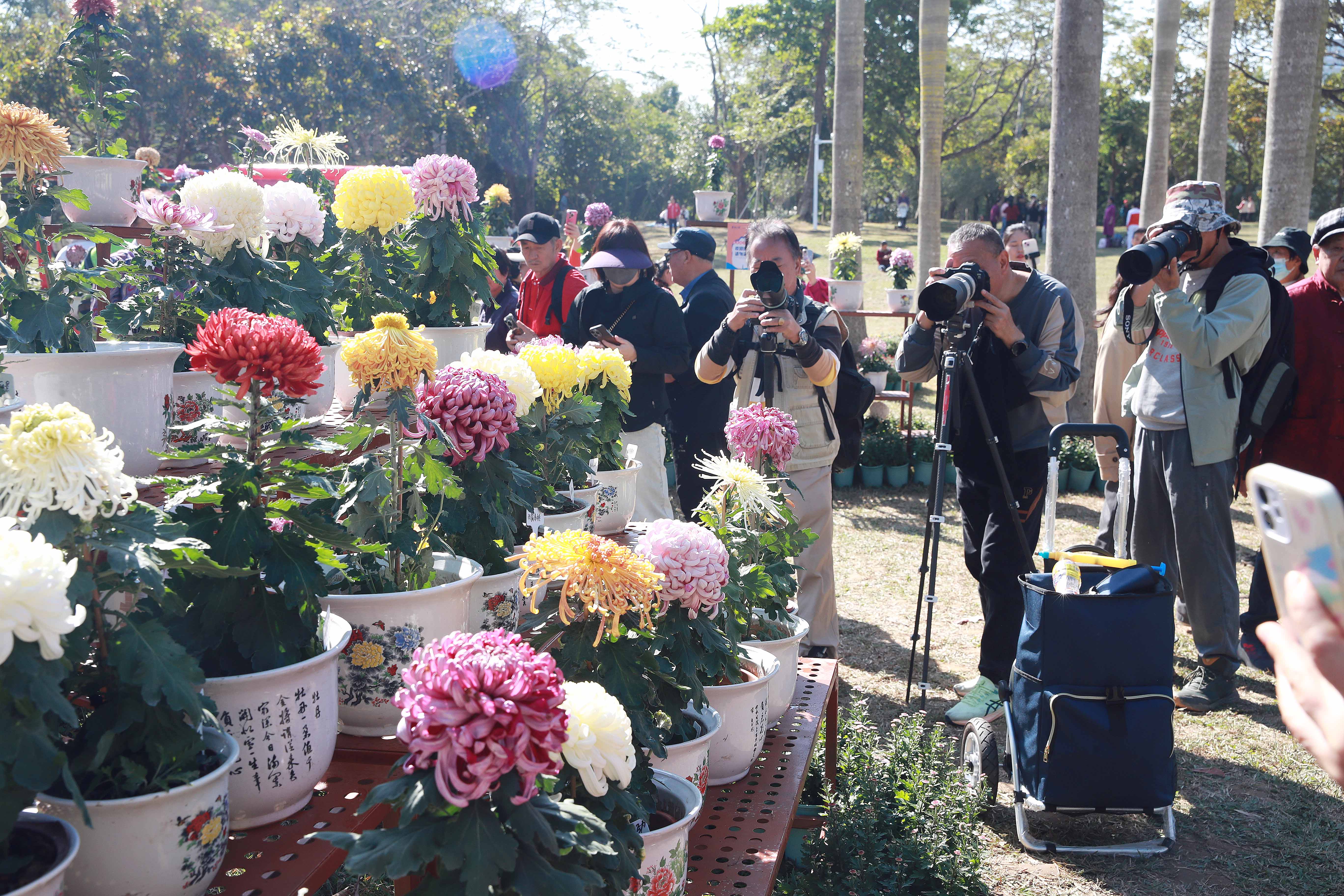 美丽深圳·每日一图｜2025年12月17日