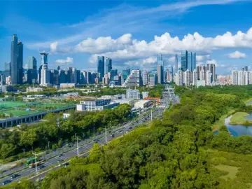 《奇迹》快评3：红树流年，流淌的是深圳对大自然的温柔 