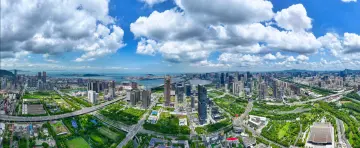 共绘“央地合作”新图景，中央企业专职外部董事前海行活动举行