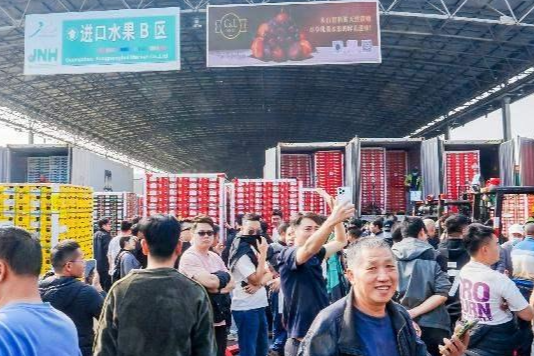 全国首艘“智利车厘子快线”抵达广州南沙港,中国冬季“第一口甜”如期而至