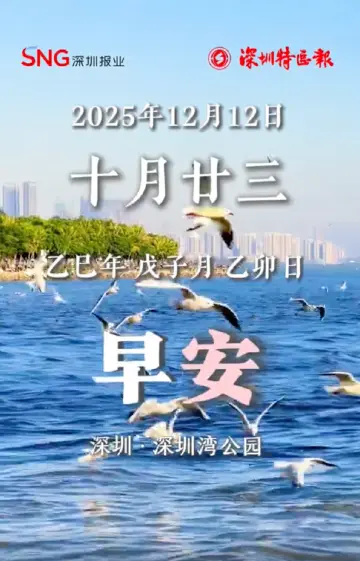 早安，深圳 | 2025年12月12日