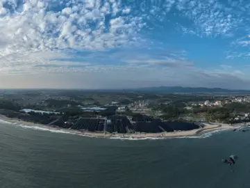 锚定海洋经济千亿元总规模目标!揭阳激活黄金岸线,迸发蓝色动能 | 海上新广东