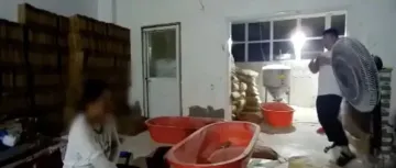 假奶粉畅销全国，平台监管何以失守？