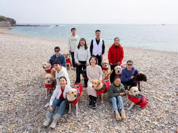 乡村振兴、东北虎豹、导盲犬……看深企如何从“隐形赛道”挖掘企业社会责任