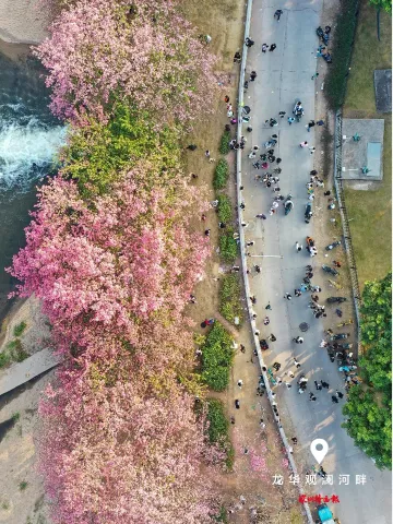 美丽深圳·每日一图|2025年12月8日