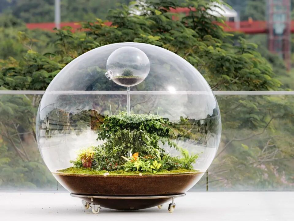 展览正当时 | 第三届深圳·光明国际公共艺术季：“自然共域体”公共艺术作品展 